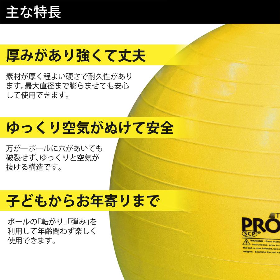 D&M エクササイズボール バランスボール トレーニング用 体幹 リハビリ