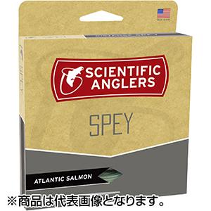 SAアトランティックサーモンショート　SH S1S2 S3S4 190gr TIEMCO（ティムコ） マスタリーアトランティックサーモン ショート F/H