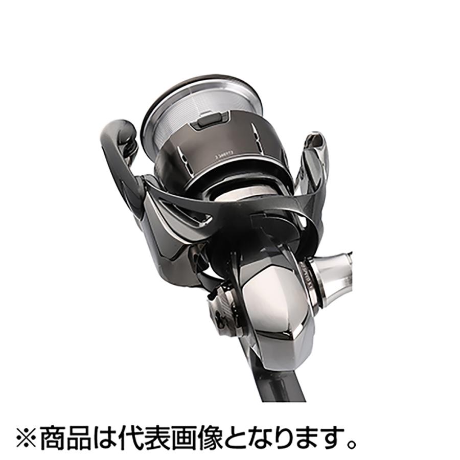 DAIWA（ダイワ） 24 ルビアス LT5000D-CXH : dn-webshop - 通販