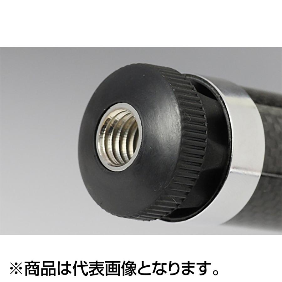 DAIWA（ダイワ） ランディングポール 2 磯玉網 45-60 : dn-webshop