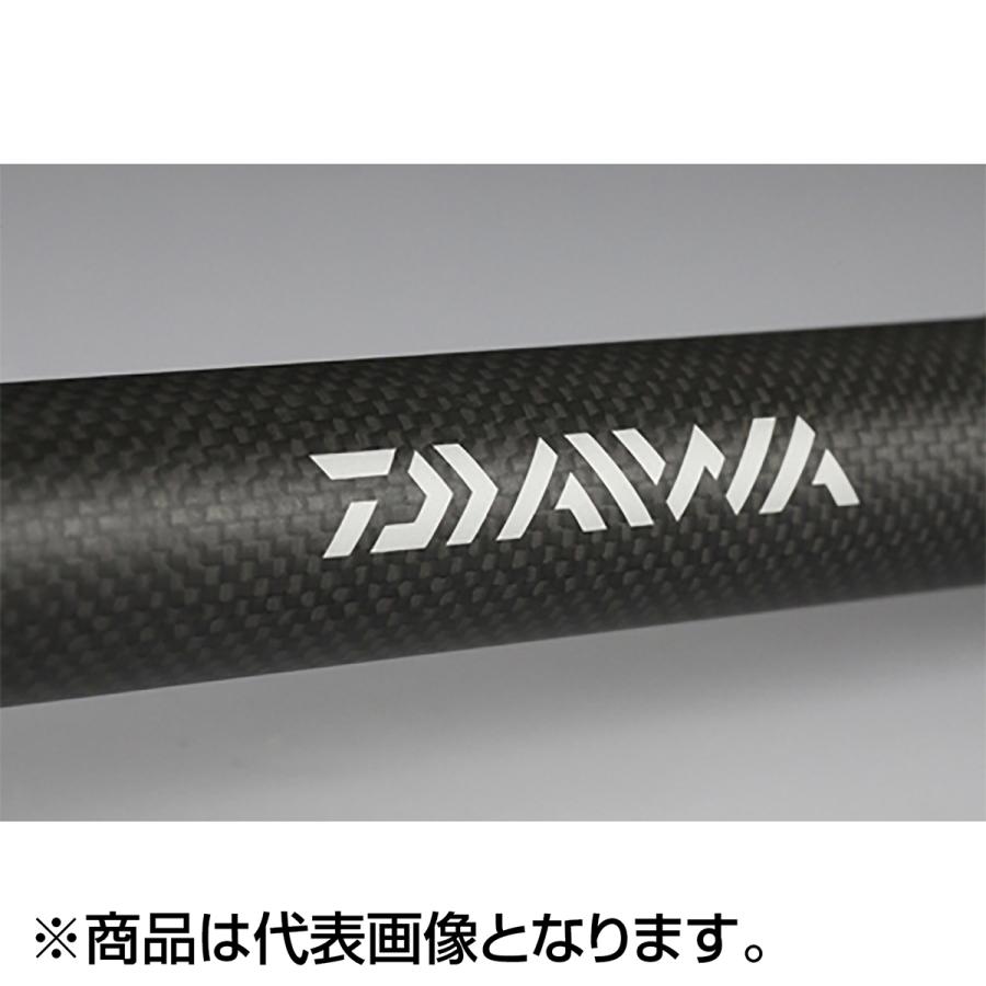DAIWA（ダイワ） ランディングポール 2 磯玉網 45-60 : dn-webshop