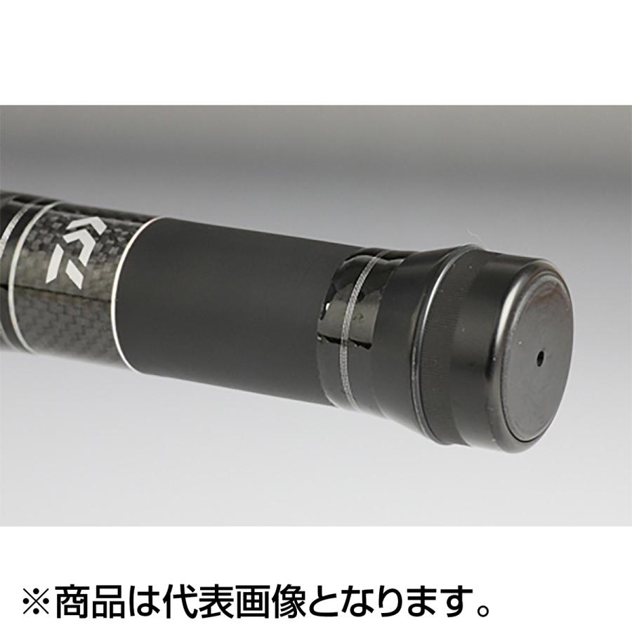 DAIWA（ダイワ） ランディングポール 2 磯玉網 45-60 : dn-webshop