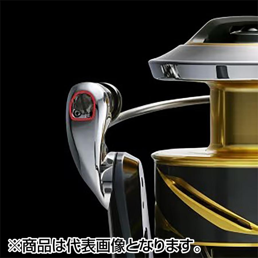 シマノ(SHIMANO) 25 ステラ SW 8000PG 【公式通販】