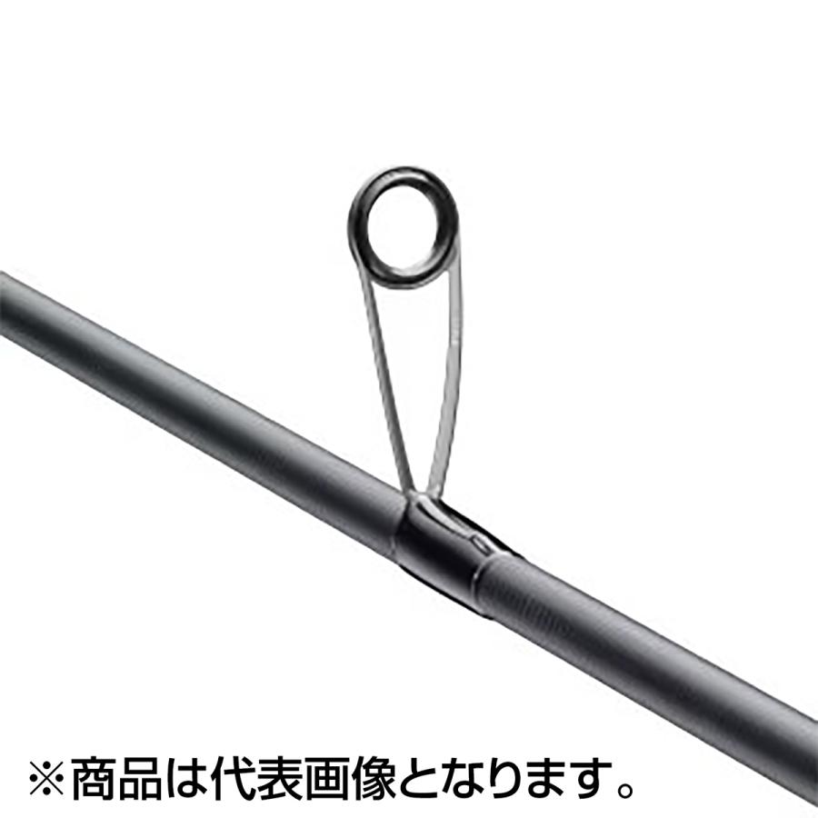 シマノ（SHIMANO） 25 ソルティーアドバンス ショアモデル SEABASS