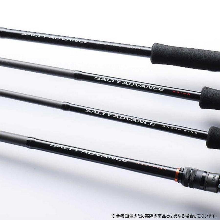 シマノ（SHIMANO） 25ソルティーアドバンス SHORE JIGGING S100M : dn 