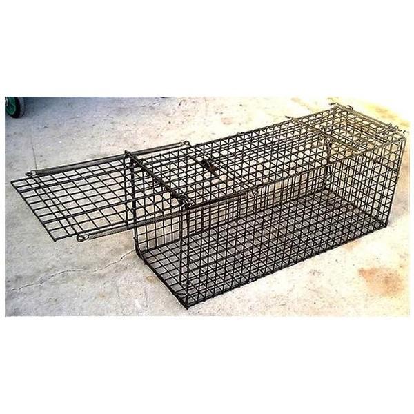 小動物キャッチャー TA24 : ギフト・景品のディーネットモール