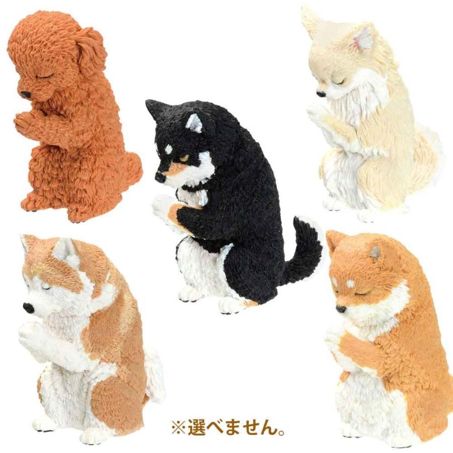 フィギュア 合掌 匠 犬拝 BOX 1個入｜dnf-store｜03