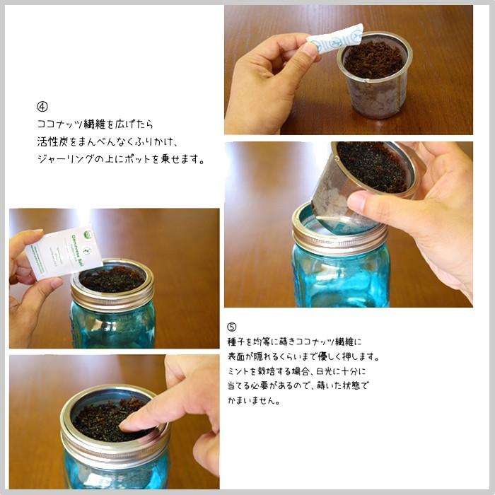 水耕栽培 パセリ ガーデンジャー キッチン 瓶 贈り物 単品 簡単栽培 ガーデン Hb P1 ドアのそと 通販 Yahoo ショッピング