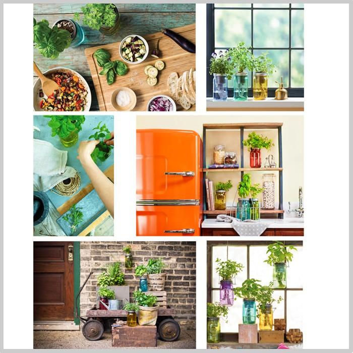 水耕栽培 パセリ ガーデンジャー キッチン 瓶 贈り物 単品 簡単栽培 ガーデン Hb P1 ドアのそと 通販 Yahoo ショッピング