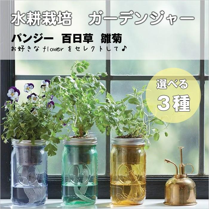 水耕栽培 フラワー ガーデンジャー 花 パンジー 百日草 雛菊 先行販売 プレゼント 簡単 Hb Ms Gjs 1011 ドアのそと 通販 Yahoo ショッピング