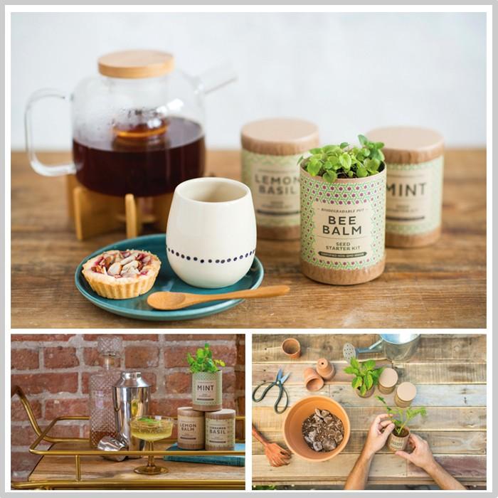 水耕栽培 クラフト シード スターターキット ティーシリーズ 3種類 ミント レモンバジル ビーバーム プレゼント 簡単 Hb Ms Ss 1002 ドアのそと 通販 Yahoo ショッピング