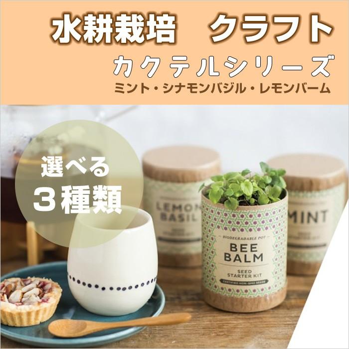 水耕栽培 クラフト シード スターターキット カクテルシリーズ 3種 ミント レモンバーム シナモンバジル プレゼント 簡単 Hb Ms Ss 1003 ドアのそと 通販 Yahoo ショッピング