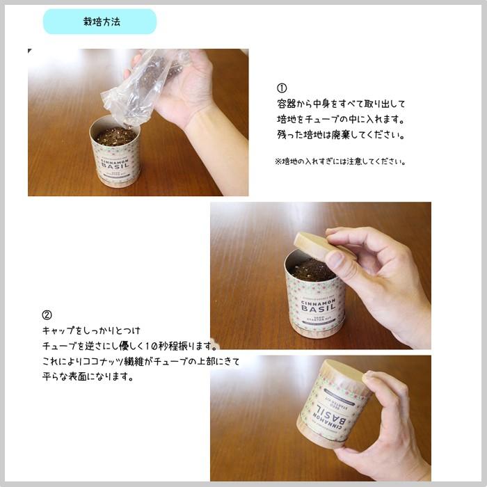 限 定 販 売 水耕栽培 クラフト シード スターターキット カクテルシリーズ 3種 ミント レモンバーム シナモンバジル プレゼント 簡単 Hb Supplystudies Com