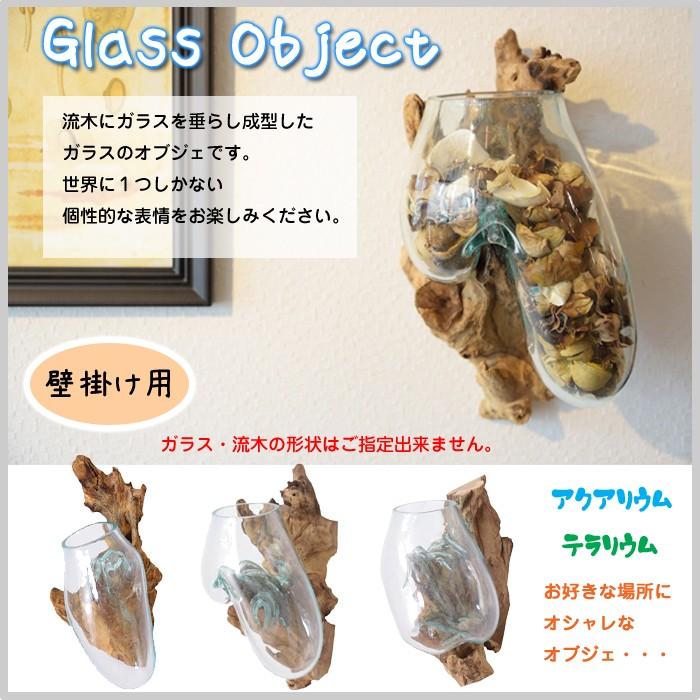 流木 ガラス 壁掛け オブジェ 飾り ディスプレイ お店 プレゼント アクアリウム テラリウム オシャレ Az Ttz 312 Ttz 312 ドアのそと 通販 Yahoo ショッピング