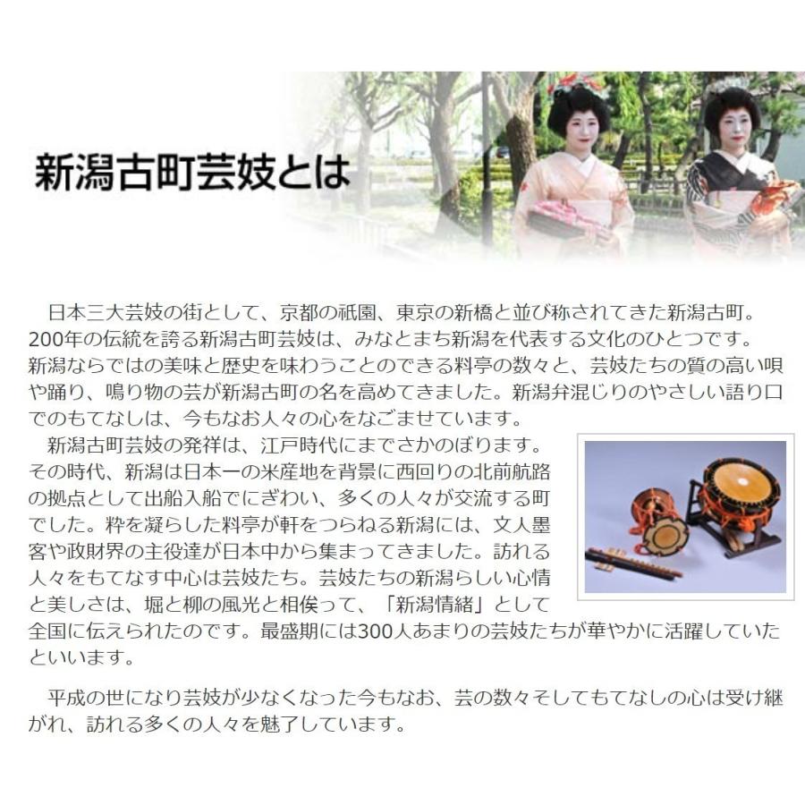 新潟柳都古町芸妓暦2022年版 : DIPaletteWEBショップ&Niigata - 通販