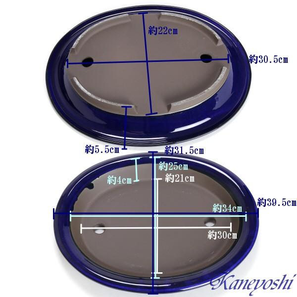 盆栽販売　山野草　植木鉢　陶器　おしゃれ　サイズ　３９ｃｍ　瀬戸焼　盆栽鉢　ＫＮ００３４　１３号　ナマコ |  | 01