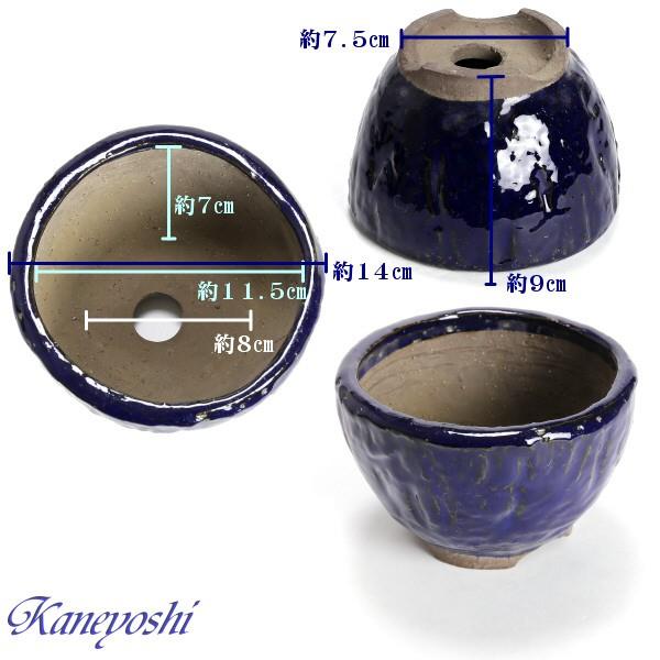 盆栽販売　山野草　植木鉢　陶器　おしゃれ　サイズ　１４ｃｍ　萬古焼　山草鉢　ＫＮ０００７　手造風丸　４号　ナマコ |  | 01