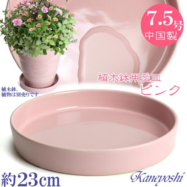 植木鉢用受皿 おしゃれ 安い 陶器 サイズ 23cm KN1223 7.5号 さくらピンク 室内 屋外 桃 色 | 
