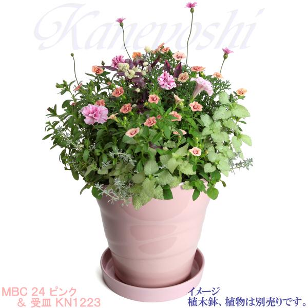 植木鉢用受皿 おしゃれ 安い 陶器 サイズ 23cm KN1223 7.5号 さくらピンク 室内 屋外 桃 色 |  | 04