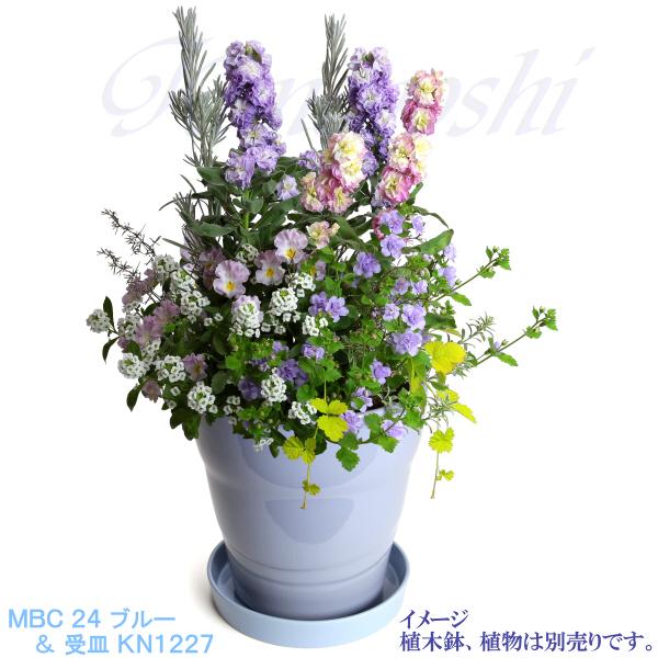 植木鉢用受皿 おしゃれ 安い 陶器 サイズ 23cm KN1227 7.5号 スカイブルー 室内 屋外 青 色 |  | 04