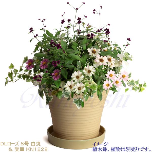 植木鉢用受皿 おしゃれ 安い 陶器 サイズ 22.5cm KN1228 7号 ベージュ 室内 屋外 白 色 |  | 04