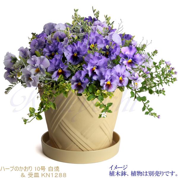 植木鉢用受皿 おしゃれ 安い 陶器 サイズ 28cm KN1288 9号 ベージュ 室内 屋外 白 色 |  | 04