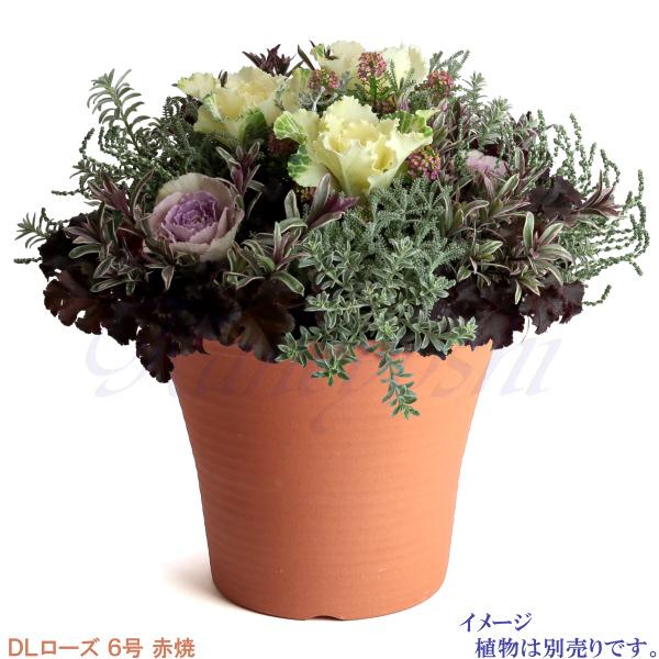 植木鉢 おしゃれ 安い 陶器 サイズ 20cm DLローズ 6号 赤焼 室内