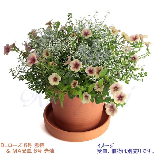 植木鉢 おしゃれ 安い 陶器 サイズ 20cm DLローズ 6号 赤焼 室内 屋外 レンガ 色 |  | 10