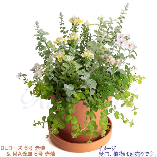 植木鉢 おしゃれ 安い 陶器 サイズ 20cm DLローズ 6号 赤焼 室内 屋外 レンガ 色 |  | 11