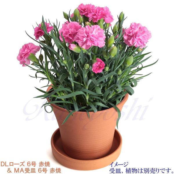 植木鉢 おしゃれ 安い 陶器 サイズ 20cm DLローズ 6号 赤焼 室内 屋外 レンガ 色 |  | 12