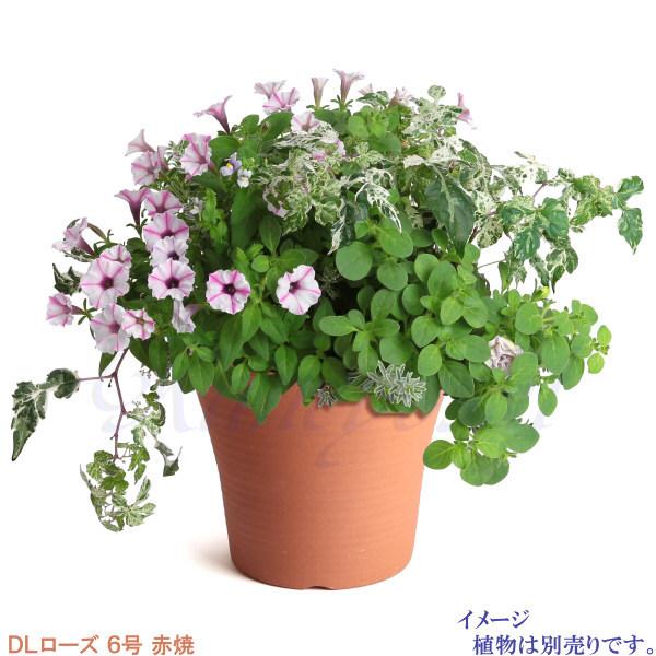 植木鉢 おしゃれ 安い 陶器 サイズ 20cm DLローズ 6号 赤焼 室内 屋外 レンガ 色 |  | 09