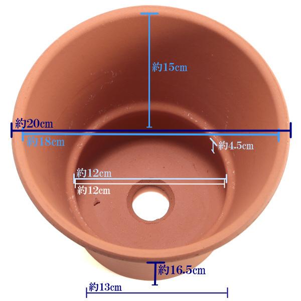 植木鉢 おしゃれ 安い 陶器 サイズ 20cm DLローズ 6号 赤焼 室内 屋外 レンガ 色 |  | 03