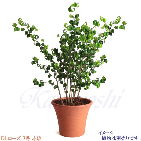 植木鉢 おしゃれ 安い 陶器 サイズ 23.5cm DLローズ 7号 赤焼 室内 屋外 レンガ 色 |  | 06