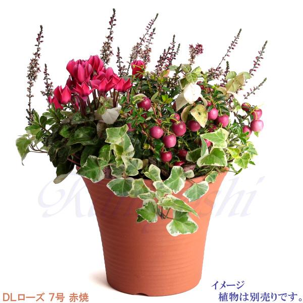 植木鉢 おしゃれ 安い 陶器 サイズ 23.5cm DLローズ 7号 赤焼 室内 屋外 レンガ 色 |  | 11