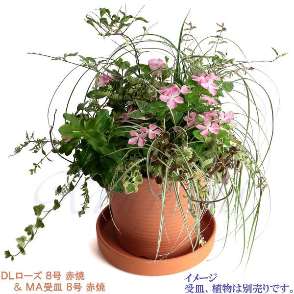 植木鉢 おしゃれ 安い 陶器 サイズ 26.5cm DLローズ 8号 赤焼 室内 屋外 レンガ 色 |  | 11