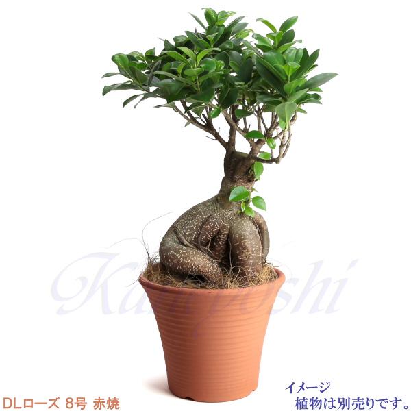 植木鉢 おしゃれ 安い 陶器 サイズ 26.5cm DLローズ 8号 赤焼 室内 屋外 レンガ 色 |  | 07