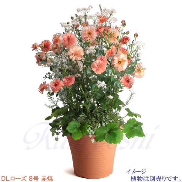 植木鉢 おしゃれ 安い 陶器 サイズ 26.5cm DLローズ 8号 赤焼 室内 屋外 レンガ 色 |  | 09