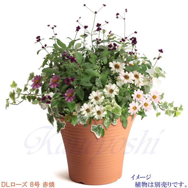 植木鉢 おしゃれ 安い 陶器 サイズ 26.5cm DLローズ 8号 赤焼 室内 屋外 レンガ 色 |  | 08
