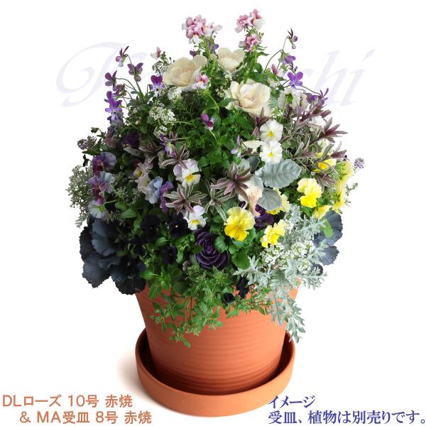 植木鉢 おしゃれ 安い 陶器 サイズ 31.5cm DLローズ 10号 赤焼 室内 屋外 レンガ 色 |  | 10