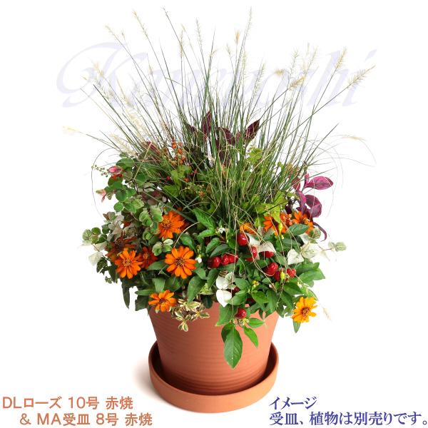 植木鉢 おしゃれ 安い 陶器 サイズ 31.5cm DLローズ 10号 赤焼 室内 屋外 レンガ 色 |  | 11