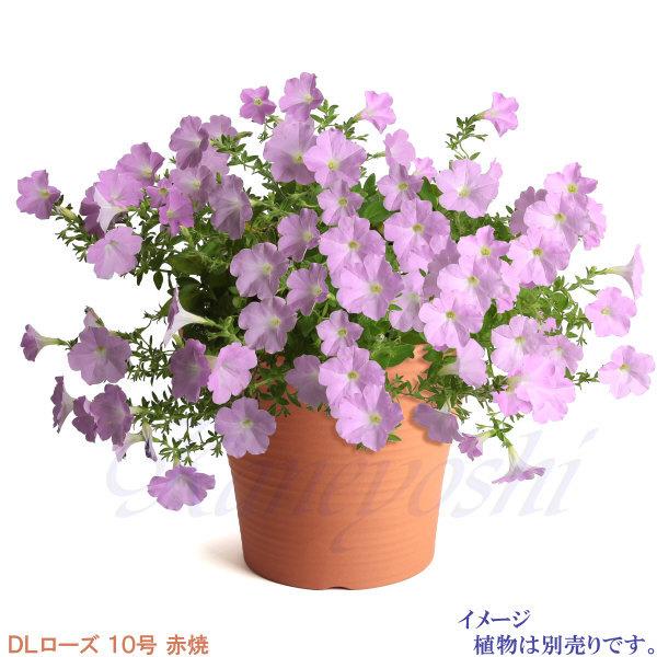 植木鉢 おしゃれ 安い 陶器 サイズ 31.5cm DLローズ 10号 赤焼 室内 屋外 レンガ 色 |  | 07