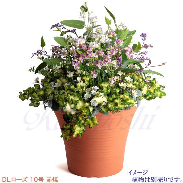 植木鉢 おしゃれ 安い 陶器 サイズ 31.5cm DLローズ 10号 赤焼 室内 屋外 レンガ 色 |  | 08