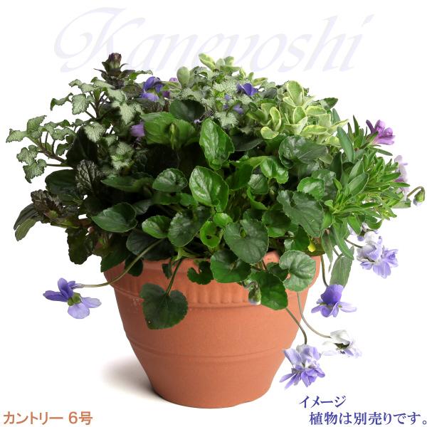 植木鉢 おしゃれ 安い 陶器 サイズ 18cm カントリー 6号 赤焼 室内 屋外 レンガ 色 |  | 06