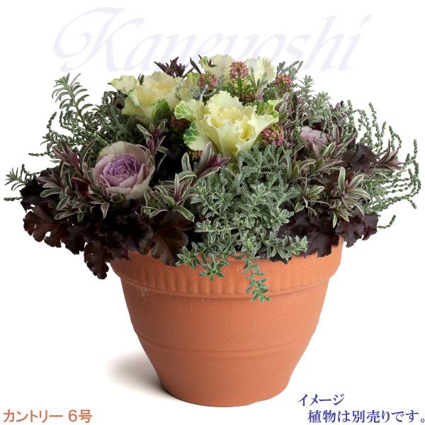 植木鉢 おしゃれ 安い 陶器 サイズ 18cm カントリー 6号 赤焼 室内 屋外 レンガ 色 |  | 07