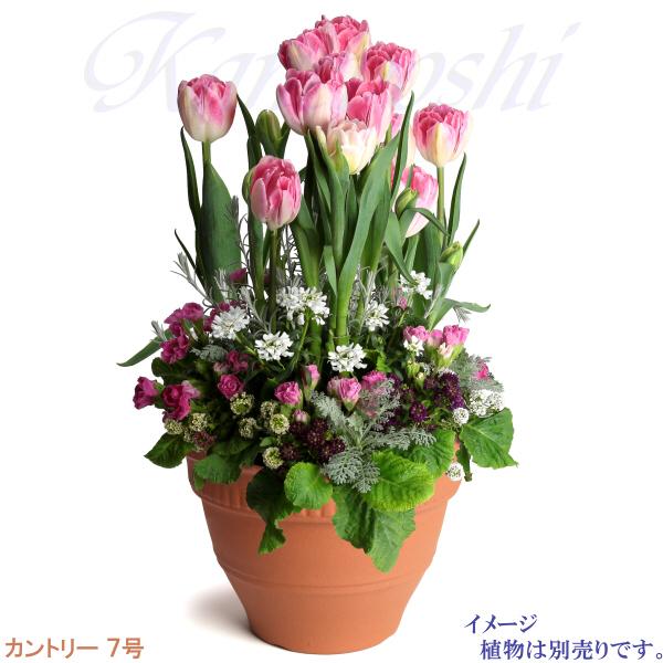 植木鉢 おしゃれ 安い 陶器 サイズ 22cm カントリー 7号 赤焼