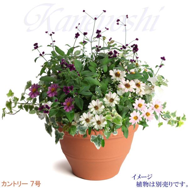 植木鉢 おしゃれ 安い 陶器 サイズ 22cm カントリー 7号 赤焼 室内