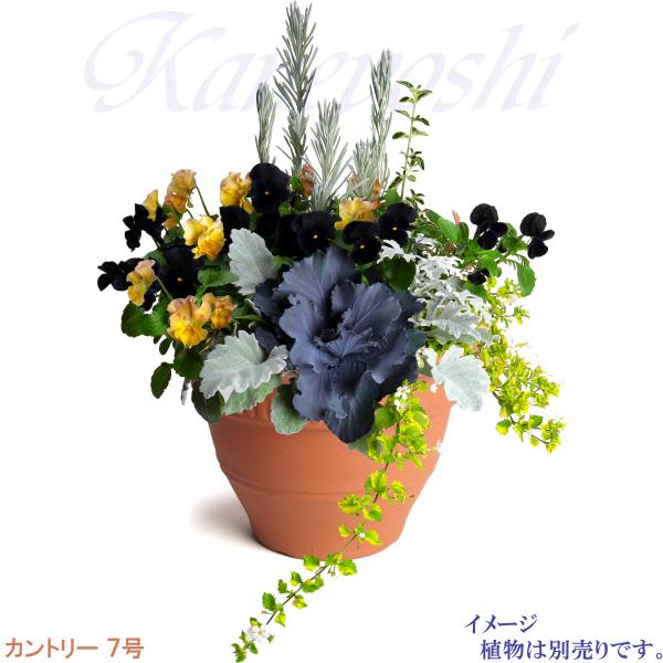 植木鉢 おしゃれ 安い 陶器 サイズ 22cm カントリー 7号 赤焼 室内 屋外 レンガ 色 |  | 08