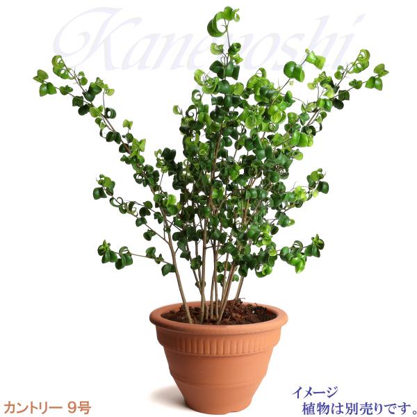 植木鉢 おしゃれ 安い 陶器 サイズ 28cm カントリー 9号 赤焼 室内 屋外 レンガ 色 |  | 06