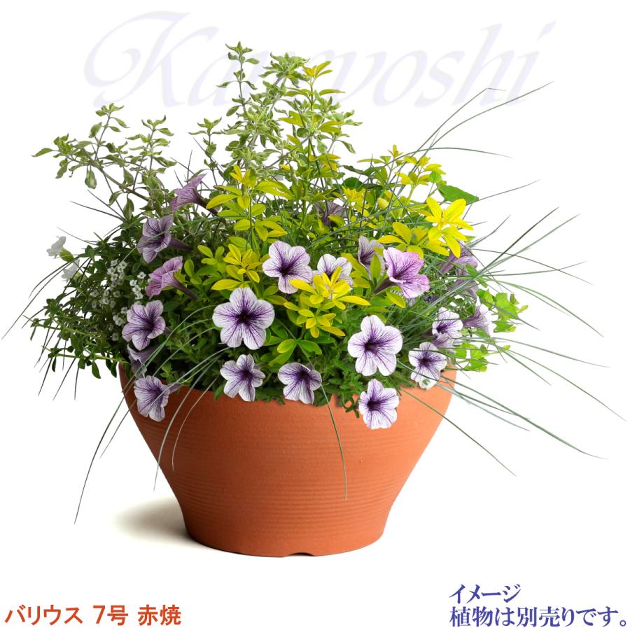 植木鉢 おしゃれ 安い 陶器 サイズ 23cm バリウス 7号 赤焼 室内 屋外 レンガ 色 |  | 11