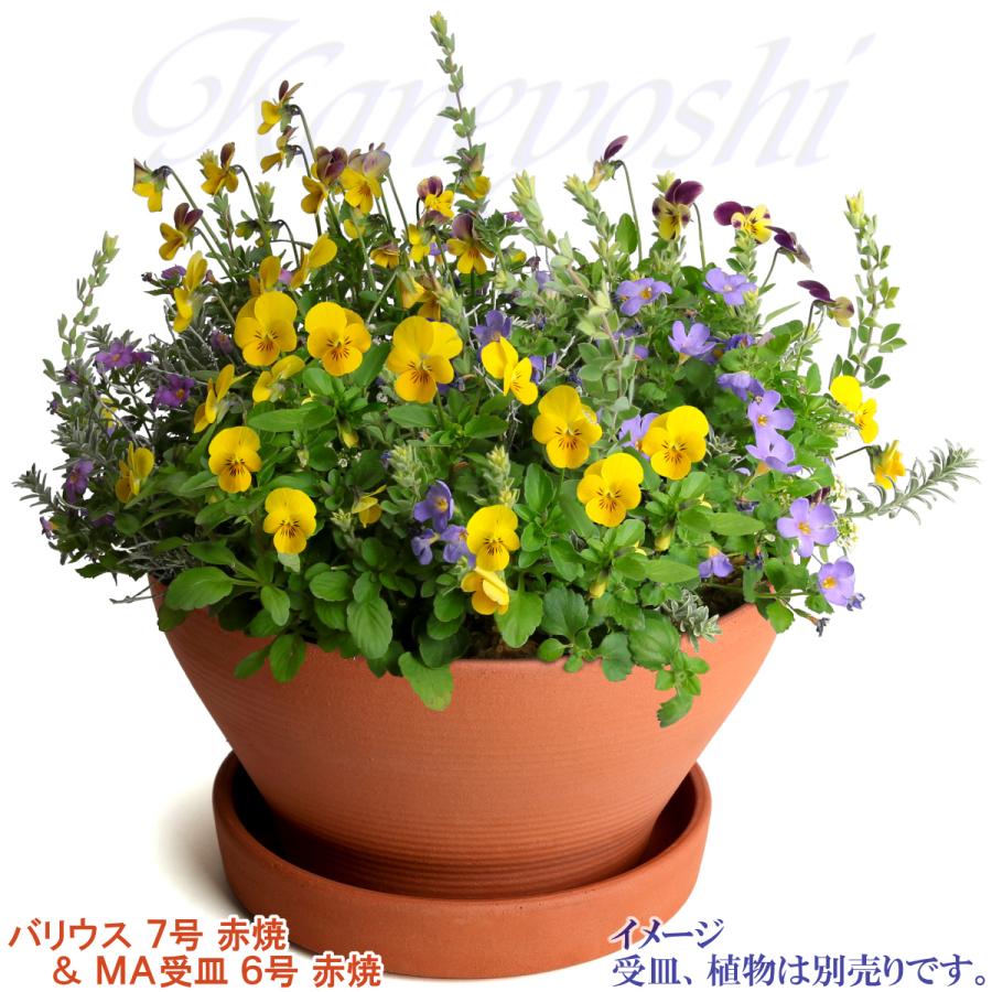 植木鉢 おしゃれ 安い 陶器 サイズ 23cm バリウス 7号 赤焼 室内 屋外 レンガ 色 |  | 12